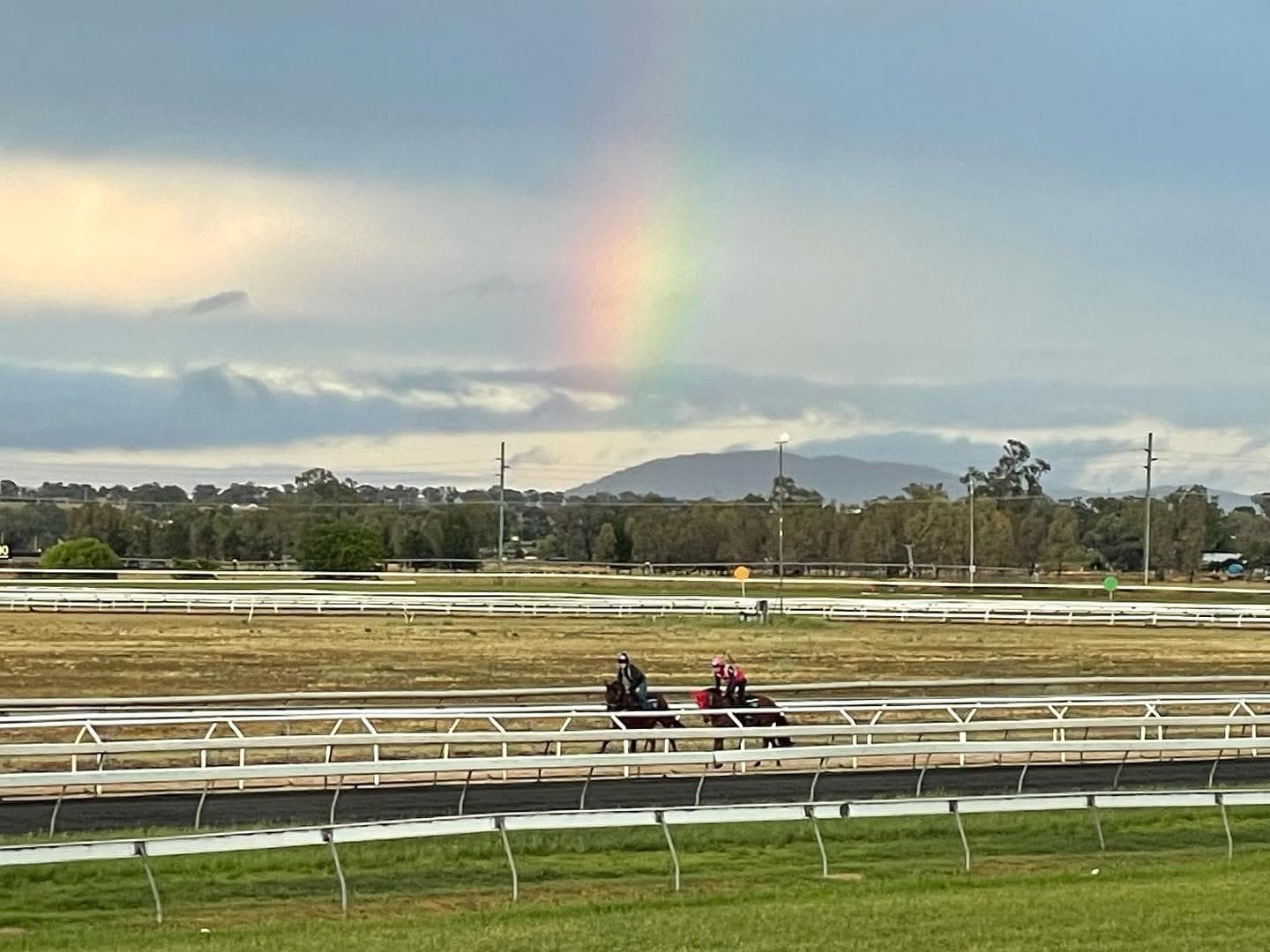 Horsesunderarainbow.jpeg