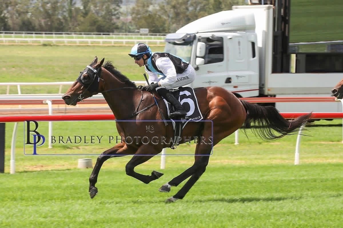 SYLLABLE READY TO STRIKE AT TAMWORTH