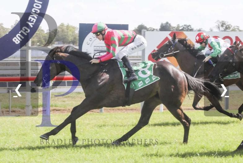 STAFFA FAREWELLED: FROM WINLESS BEGINNINGS TO STABLE STAR