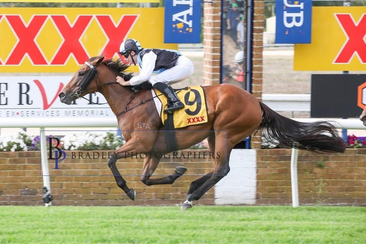 Gold Lover Delivers Another Feature Sprint Triumph in Armidale Newmarket